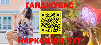 эйфоретик Малгобек
