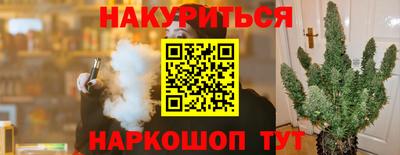 эйфоретик Малгобек