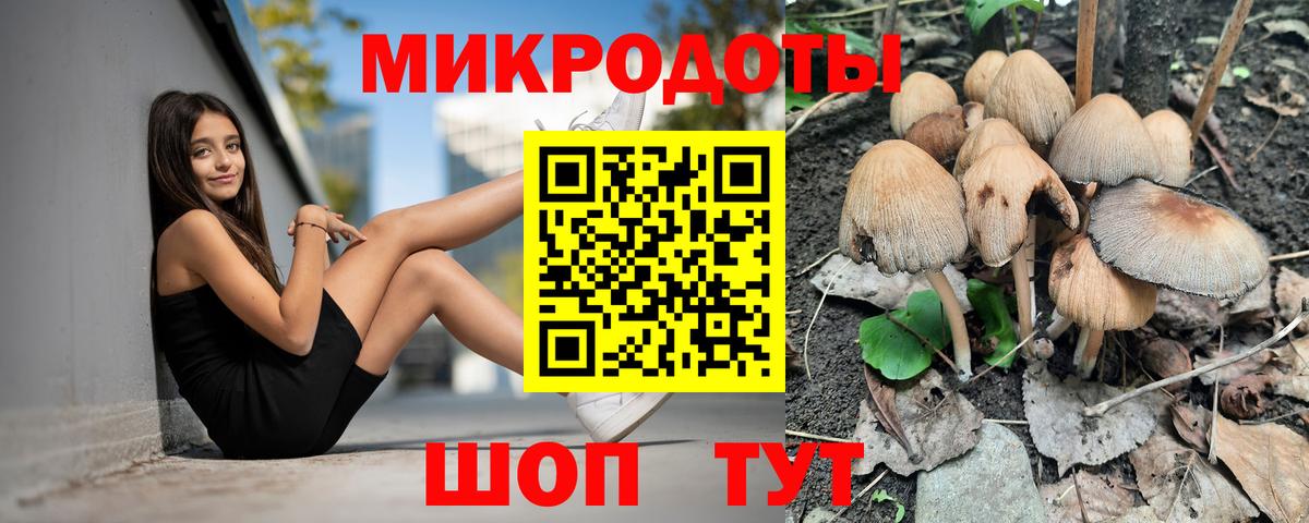 Галлюциногенные грибы GOLDEN TEACHER  Псилоцибиновые грибы Psilocybe  Вход с VPN  Выборг 